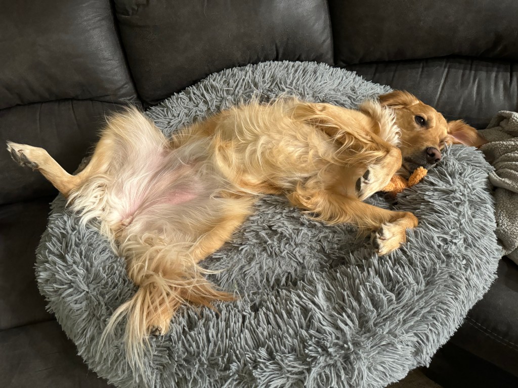 Day 11 (Week 3, Day&nbsp;1)